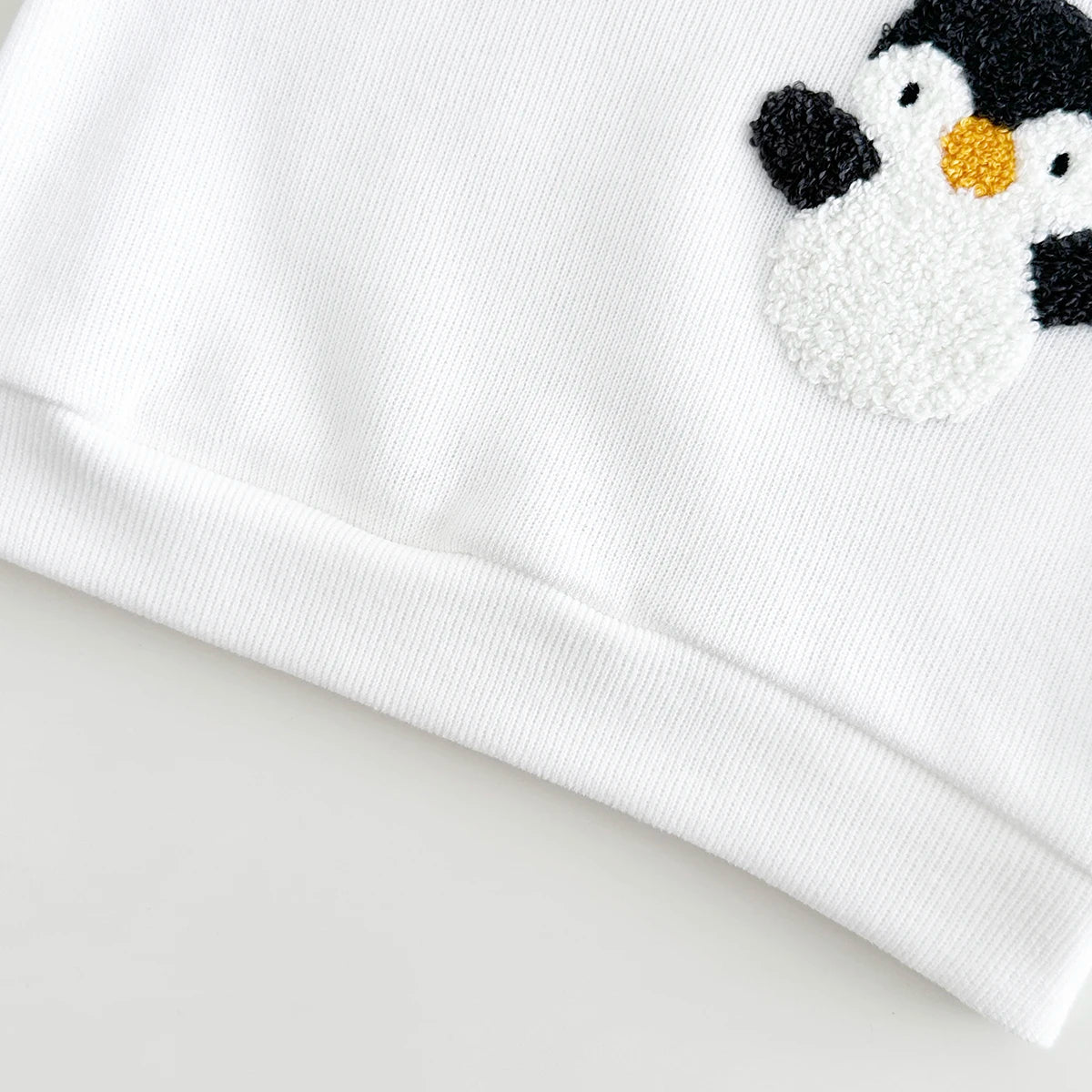 2Pcs Baby Clothes Girl Sets Baby Newborn Items Embroidery Top+Pants Warm Clothes Spring Autumn Baby Boy Clothes Infant